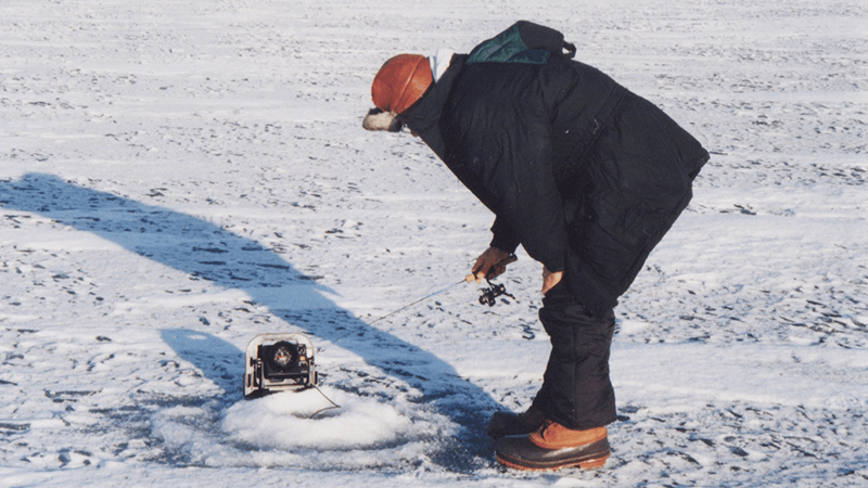 using a flasher fish finder