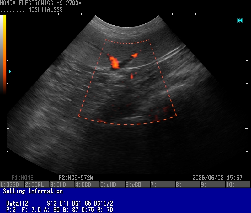 12Kidney (Shiba Inu)